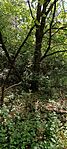 IMG_20260519_161552