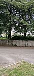 IMG_20260531_173819