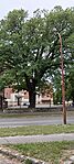 IMG_20260531_173803