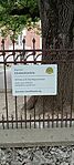 IMG_20260531_173224