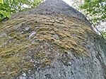 Mohos riolittufa torony