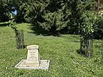 Baki Bosc körte