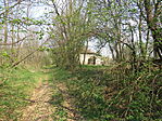 Salomfa