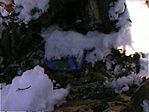 fa