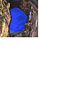 A geoláda