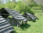 Oszlopcsonkok