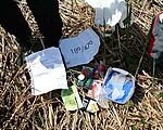 A cache tartalma