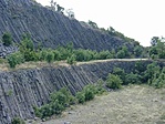 Orgonasípok
