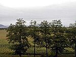 kilátó