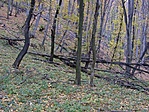 Ide vezetett a GPS