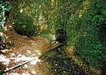 Vízfő-forrás