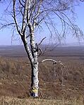 Arányok (I)