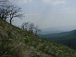 Kilátás