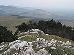 Kontrasztok