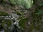 Szurdok