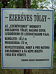 A tábla password-mentesítve
