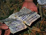 "Kicsit" nedves logbook