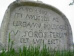 Zöld mező lesz belőlünk...