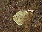 cache