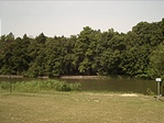 Szemben az arborétum