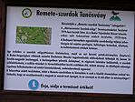 Szurdok bejárat