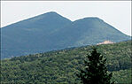 GCici