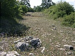 A nagy letakaritás