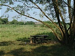 A pihenő és madárles