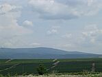 236_GCSAST