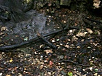 2003:07:31 21:08:45