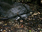 2003:07:31 21:08:58
