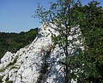 Rejtek-szikla