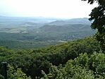 A panoráma
