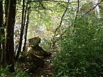 Szintén