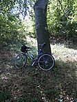 Parkoló