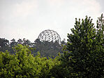 Kerekecske, gömböcske (2003 nyári kép)
