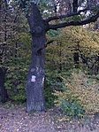 Jelzések