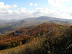 Páráskékes