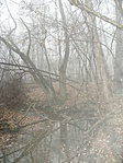 Novemberi hangulat-2