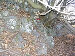 A cache