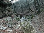 szurdok 1