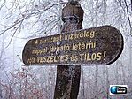 Itt tértünk le...