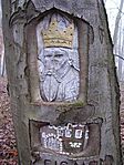Zsigmond