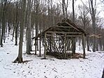 Vadetető