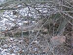 A cache
