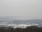 Köd