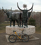 A cacher jármű sárosan