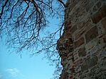 Holddal
