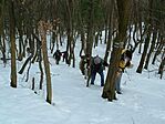 Küzdelem a hóval