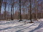 Félúton